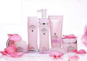 高效家居日用品批發的策略與市場機遇